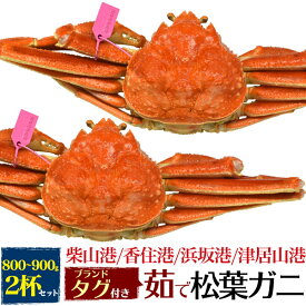 楽天市場 カニ 国産の通販 楽天市場 カニ 国産の通販