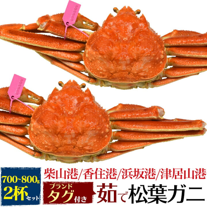 楽天市場 釜茹 2枚 兵庫県産 松葉ガニ 姿 ズワイガニ 700g 800g 2杯 産地 ブランドタグ付 ボイル カニ 柴山かに 津居山かに 香住かに 浜坂かに 松葉蟹 まつばガニ 2匹 最高級 日本海 産地直送 産直 国産 ブランド蟹 茹で蟹 茹でたて クール便 冷蔵 楽天市場 釜茹 2枚 兵庫県産 松葉ガニ 姿 ズワイガニ 700g 800g 2杯 産地 ブランドタグ付 ボイル カニ 柴山かに 津居山かに 香住かに 浜坂かに 松葉蟹 まつばガニ 2匹 最高級 日本海 産地直送 産直 国産 ブランド蟹 茹で蟹 茹でたて クール便 冷蔵