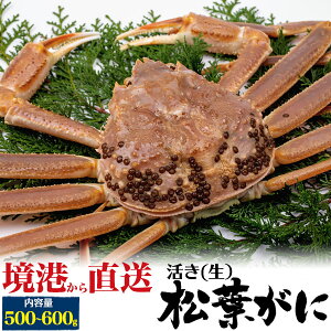 Ε ~Mtg Mtg yIz`  tKj p (YCKj) y500g`600g×1`2tzJjiRAY Y 挧YjtI ܂΃Kj 1C ܂ Mtg 蕨 {C {ꂩ 