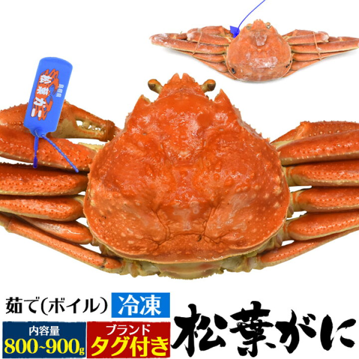 楽天市場 釜茹 冷凍 1枚 境港 松葉ガニ 姿 ズワイガニ 800g 900g 1杯 ボイル冷凍 カニ 山陰産 島根県産 鳥取県産 ブランドタグ付 松葉蟹 まつばガニ 1匹 高級 ギフト 最高級 日本海 産地直送 産直 国産 ブランド蟹 まつばがに 松葉かに 茹で蟹 茹でたて クール 楽天市場 釜茹 冷凍 1枚 境港 松葉ガニ 姿 ズワイガニ 800g 900g 1杯 ボイル冷凍 カニ 山陰産 島根県産 鳥取県産 ブランドタグ付 松葉蟹 まつばガニ 1匹 高級 ギフト 最高級 日本海 産地直送 産直 国産 ブランド蟹 まつばがに 松葉かに 茹で蟹 茹でたて クール