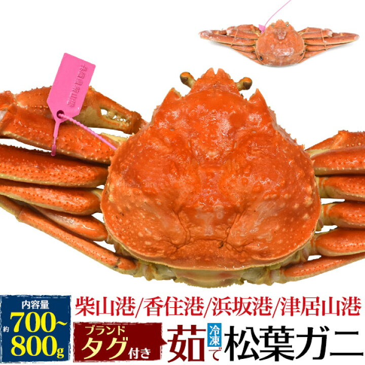 楽天市場 釜茹 冷凍 1枚 兵庫県産 松葉ガニ 姿 ズワイガニ 700g 800g 1杯 産地証明 ブランドタグ付 カニ 柴山かに 津居山 かに 香住かに 浜坂かに 松葉蟹 まつばガニ 1匹 ギフト 贈り物 日本海 産地直送 産直 高級 国産 ブランド蟹 クール 冷凍 お