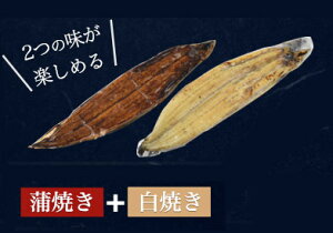 HMtg Ε Mtg Mtg  YȂ Ă Ă  200g`250g × 2 fĂ Ⓚ mY V EiM   2C 2{  Rt hV̓ Y Ȃ V 