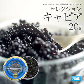 キャビア 20g セレクションキャビア AKI アキ 瓶詰め ドイツ産 （クール便 冷蔵配送）高級食材 20グラム 世界の三大珍味 三大高級食材 パーティー 記念日 誕生日 贈り物 ギフト 高級品 フレンチ レストラン 洋食 お寿司