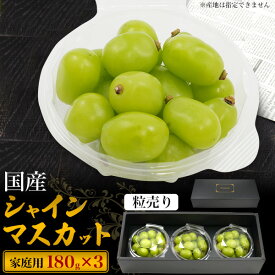 御中元 ギフト 訳あり シャインマスカット 国産 約180g 3パック 粒売り 岡山 大きさ不揃い 家庭用 自宅用 はれおう ハレオウ ぶどう ブドウ 種なし 皮ごと食べられる 種無し 国産 日本産 高級フルーツ くだもの 果物 旬の果物 秋の味覚 ギフト プレゼント 自家需要 訳あり