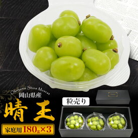 訳あり シャインマスカット 晴王 約180g×3パック 岡山県産 粒売り 家庭用 自宅用 はれおう ハレオウ ぶどう ブドウ 種なしぶどう 皮ごと食べられる 種無し 国産 日本産 高級フルーツ くだもの 果物 旬の果物 秋の味覚 ギフト プレゼント 自家需要 訳あり [冷蔵]