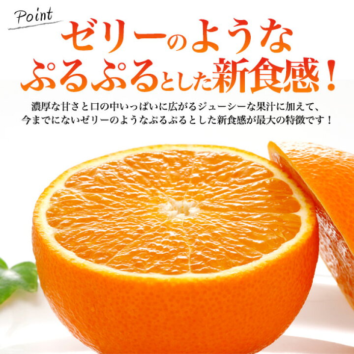 楽天市場】赤秀 紅まどんな 約3kg L～5Lサイズ (約7～15玉) 高級みかん 