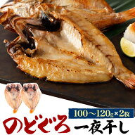 母の日 ギフト 2026 お返し のどぐろ 干物 110g 2枚 産地直送 山陰浜田 アカムツ 高級魚 冷凍 おつまみ …