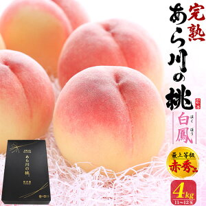桃 あら川の桃 和歌山」の人気商品一覧・価格比較 - 価格.com