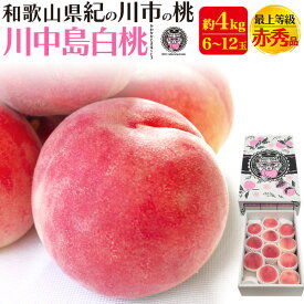 お中元 ギフト 夏ギフト 御中元 桃 和歌山県産 川中島白桃 6〜12玉 中箱 有機栽培 ふるーつふぁーむわかやま もも モモ ピーチ 甘い 贈答用 6個〜12個 国産 和歌山産 紀の川市 特産品 糖度13度 果物 旬の果物 ギフト 贈り物 熨斗対応 プレゼント 暑中見舞い 産地直送