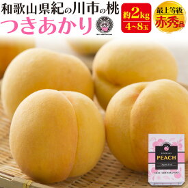 お中元 ギフト 夏ギフト 御中元 桃 最上等級 赤秀品 つきあかり 2kg 〜4kg 和歌山県産 有機肥料栽培 オーガニック もも 黄桃 有機 完熟 甘い 国産 日本産 紀の川市 特産品 和歌山 高級フルーツ 果物 くだもの 旬 ブランド品 詰め合わせ 贈り物 贈答 プレゼント 産地直送