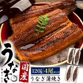 国産うなぎ 蒲焼 約120g 4尾 鰻 ウナギ 120グラム 4匹 4本 たれ付 粉山椒付 湯煎 電子レンジ可 国産 鰻丼 うな丼 unagi 贈答用 ギフトプレゼント 冷凍食品 土用 丑の日 内祝 栄養 クール便 直送 hm【冷凍】