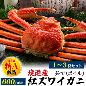 hV̓ Mtg Ai 挧Y gYCKj p 600g 1t`3ty䥂Łz{C Jj IX ̍ {C RA Y Y ` 䥂ŊI Zbg gYCKj  `h hV̓ M