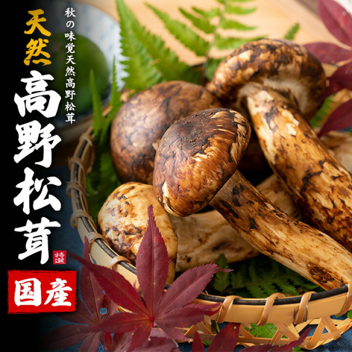 楽天市場】天然 国産 松茸 高野松茸 200g 300g 和歌山 生松茸 天然国産  