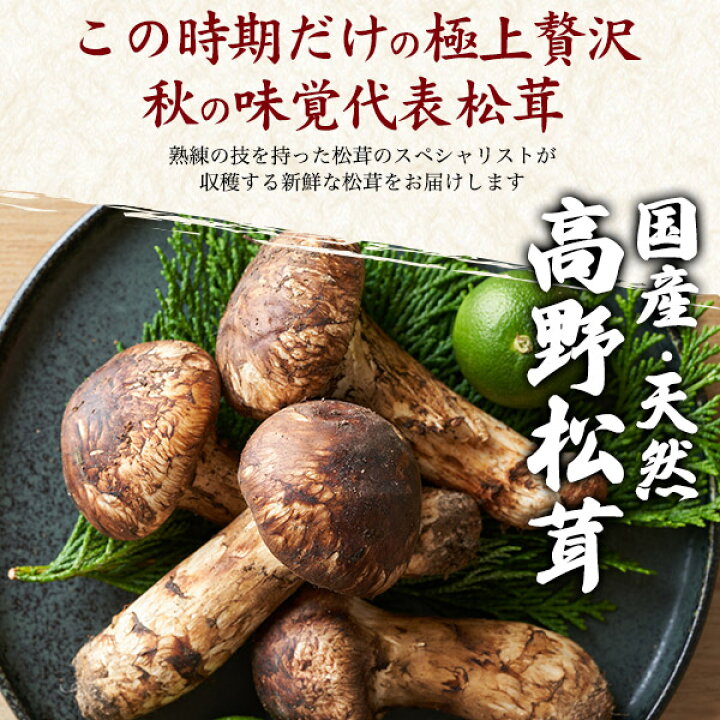 楽天市場】天然 国産 松茸 高野松茸 200g 300g 和歌山 生松茸 天然国産  