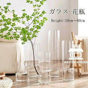 yzԕr KX  Ԋ 傫 ֑} t[x[X  20 30cm 60cm k CeA G V rO Q    H Ԃт ~   A Vzj z