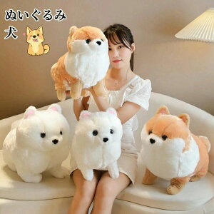 ʂ   ܂ |jA  ̂ʂ  ӂӂ _炩 킢  NbV av[g CeA ObY 蕨 NX}X C