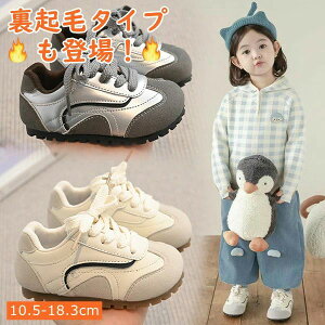  LbYC 2FI N xr[u[c xr[p u[c V[Y [EFA H~ h g xr[ C Ԃ