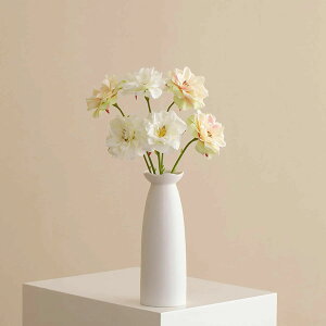  CeA ԕrZbg {   Iȑ AȎ CeA  F tFCNt[ rO  t[3 X ItBX g J