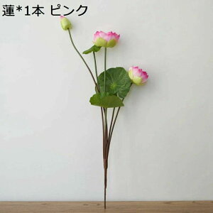  @ [^X i { CeA A[gt[ ԑ u[P  ͂Ȃ lHϗtA VN  Bep 蕨 v[g   j rO