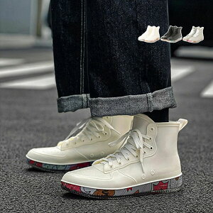 Cu[c Y V[g  V[gCu[c o[u[c JC j C ₷ ₷ q[3.5cm [XAbv \[fUC yfB[XOK!![XAb