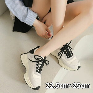 y݌ɏizXj[J[ fB[X V[Y EH[LOV[Y  L ʋ EH[LO ₷ W ₷ ɂ ꂢ Cq[ jO ̈ 