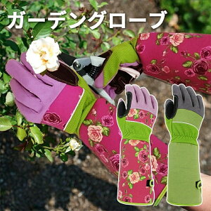 yב҂6{ɔ\zyyV1ʁz K[fO[u KNp K[fjOO[u op KN K[fjO  ԕ oO[u o gQ  O^Cv | 