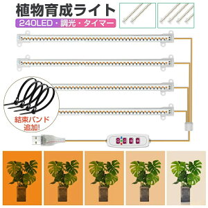 A琬Cg LED ACg LEDd z LEDA琬Cg A ϗtA琬CgtXyNg X^h  Ɩ  ^C}[t 10iK  ͔|C