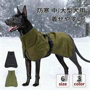  ~ WPbg ₷ ^ ^ t[X |` H h h [ht ̕  ~ g WPbg R[g AE^[ }g^  ~ ~   