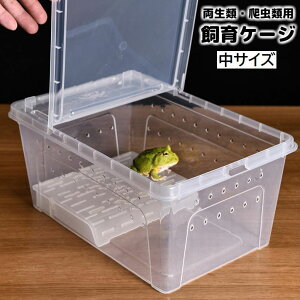 �������� ����P�[�W ����P�[�X �����ޗp ঒��ޗp �N���A�P�[�X �v���P�[�X ���� �J�� �T �J�G�� ���� ���� �����ڂ����� �e���X ���n �����` �V���v�� �ʋC�� �y�b�g�p�i