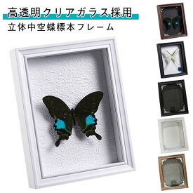 【送料無料】ボックスフレーム DIY標本 ディスプレ 展示 収納ボックス 厚みフォトフレーム 置き型 ボックスフレーム フレーム ドライフラワー スタンド 立体 壁掛け 贈り物 写真立て プレゼント 標本箱立体額 深さ2cm 真ガラス 長方形 リビング 寝室 蝶の標本フレーム