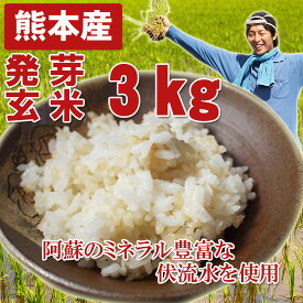 熊本産 農薬未使用 発芽玄米3キロ