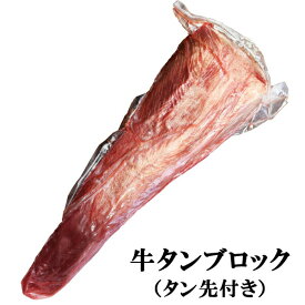 牛タン ブロック 味付けなし タン先付き 約1kg 送料無料 厚切り ステーキ 焼肉 BBQ バーベキュー タン塩 タン中 タン元 ギフト お取り寄せグルメ 仙台 おつまみ 1kg