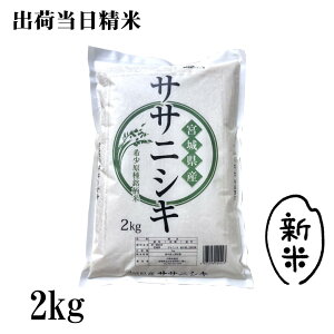 yVāzߘa7NY@{錧YTTjVL@2kg {̂ā@oד 2025NY Ε@Ε@v[g