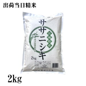 ߘa7NY@{錧YTTjVL@2kg {̂ā@oד 2025NY Ε@Ε@v[g