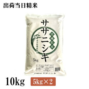 ߘa7NY@{錧YTTjVL@10kgi5kg×2j {̂ā@oד 2025NY Ε@Ε@v[g