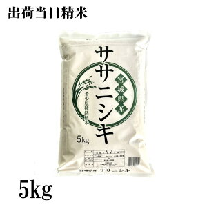 ߘa7NY@{錧YTTjVL@5kg {̂ā@oד 2025NY Ε@Ε@v[g