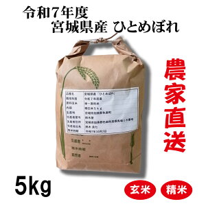 ؂̂ЂƂ߂ڂ5kg@āEā@_ƒ@ߘa7NY@{錧YЂƂ߂ڂ@{̂ā@2025NY Ε@Ε@v[g