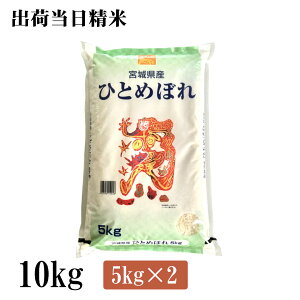 ߘa7NY@{錧YЂƂ߂ڂ@10kgi5kg×2j {̂ā@oד 2025NY Ε@Ε@v[g