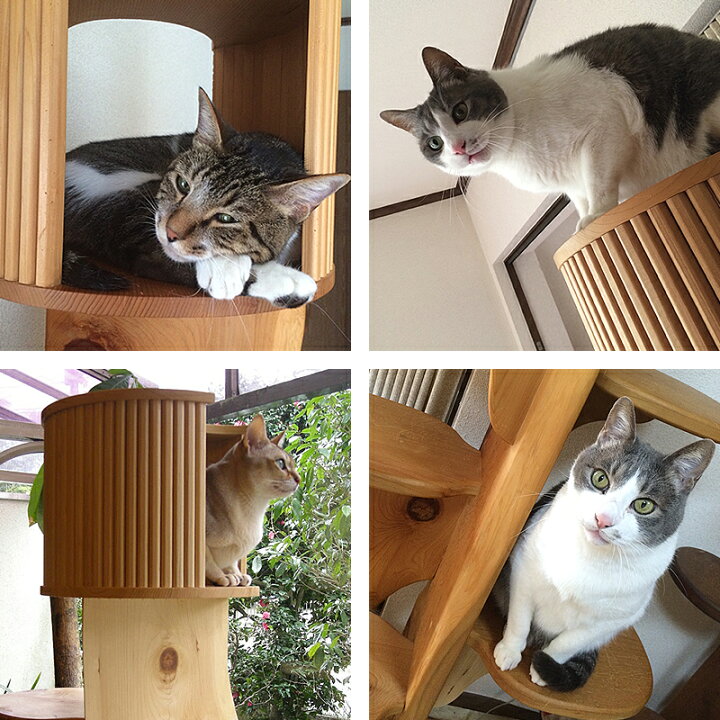 楽天市場】【無垢材】キャットツリーひぐらし 支柱1本ハウス付きタイプ 
