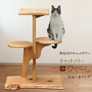 _10%OFF yVX[p[SALE^yCށzLbgc[Ђ炵ijx1{^Cv