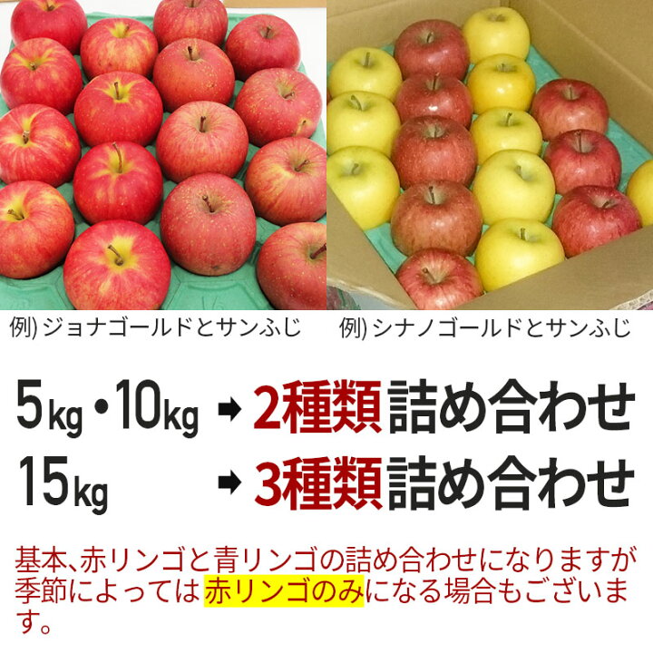 完全送料無料 サンふじ りんご 28〜40玉 10kg 林檎