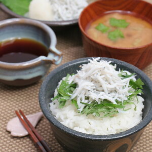 yza̎R IB ܂炷 (v[g  񂹃O a ̓ ̓)