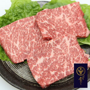 yz u뎵Џē ׂv Oca Xe[Lp ( Xe[L Xe[L   v[g  񂹃O a ̓ ̓)