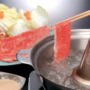 yz _˃r[t Ԃ (v[g  񂹃O a ̓ ̓)