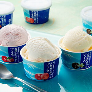 VRōACX ( ACX ACXN[ XC[c  i Mtg v[g  HISj