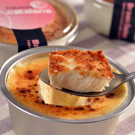 北海道 十勝カタラーナ (お取り寄せ 贈答品 ギフト プレゼント お中元 HIS）