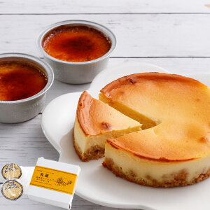 uv kCxCNh`[YP[LEv ( 񂹃O Mtg v[g  Ε  HIS)