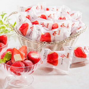 yztE䕃ACX AH-HAA ( XC[c ACX ACXN[ 䕃ACX  mَq Mtg v[g  蕨 HIS )