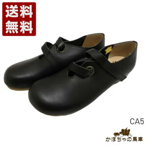 ڂ̔n ܂xĝłC fB[X RtH[gV[Y CA5 ubN (CA5-BL) { j Mtg Z[ SALE v[g lC₷ ₷ y _