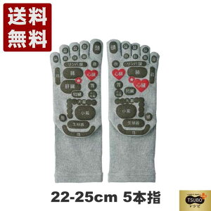 TSUBOVsPLUS ʑڃ\bNX 5{w^Cv 22cm-25cm 33032 O[ (33032-GY) { j Mtg Z[ SALE v[g lC C  Y fB[X 